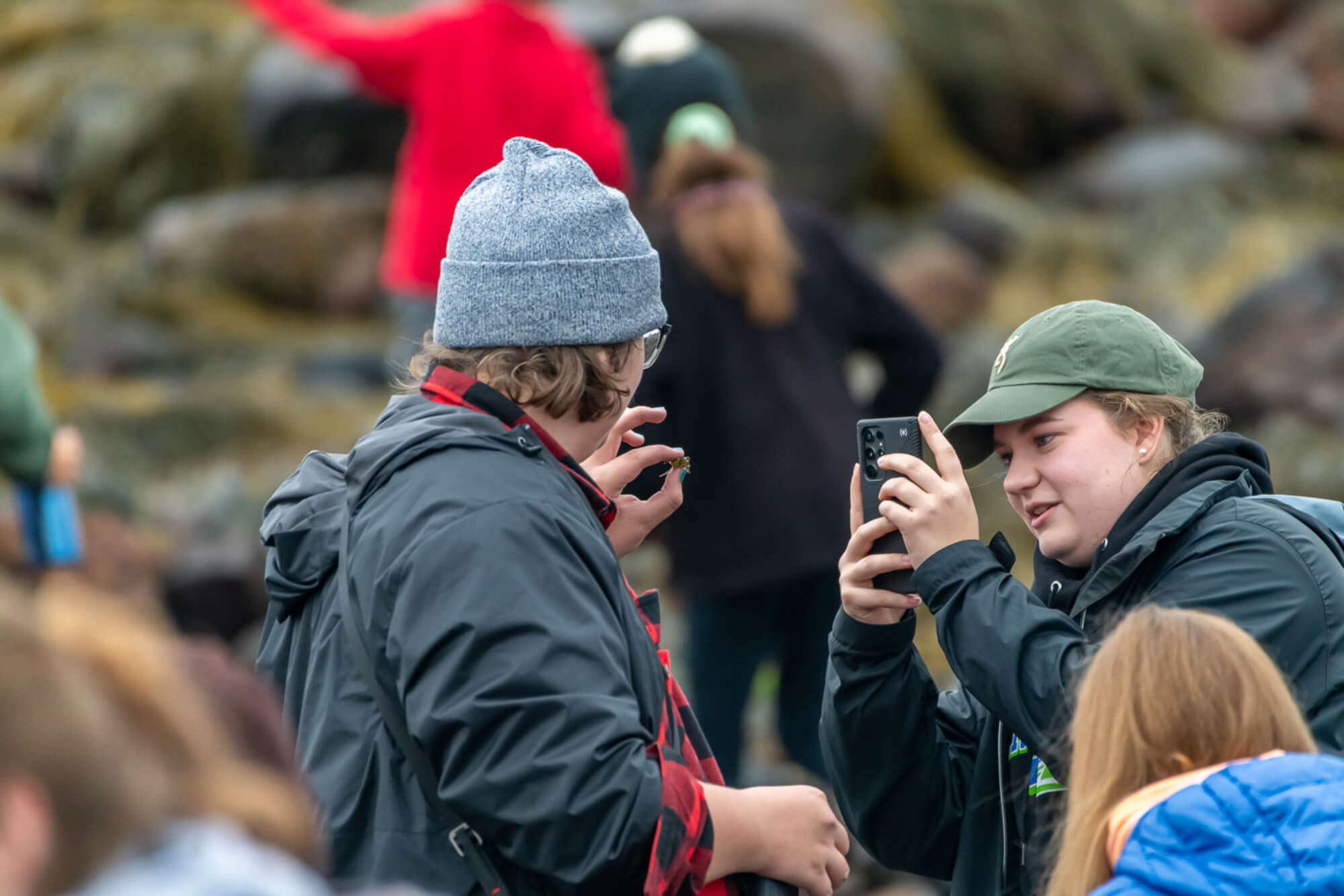 taking pictures of a hermit crab