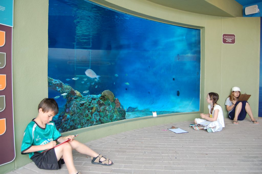 Aquairum tank at Mote Marine Laboratory & Aquarium