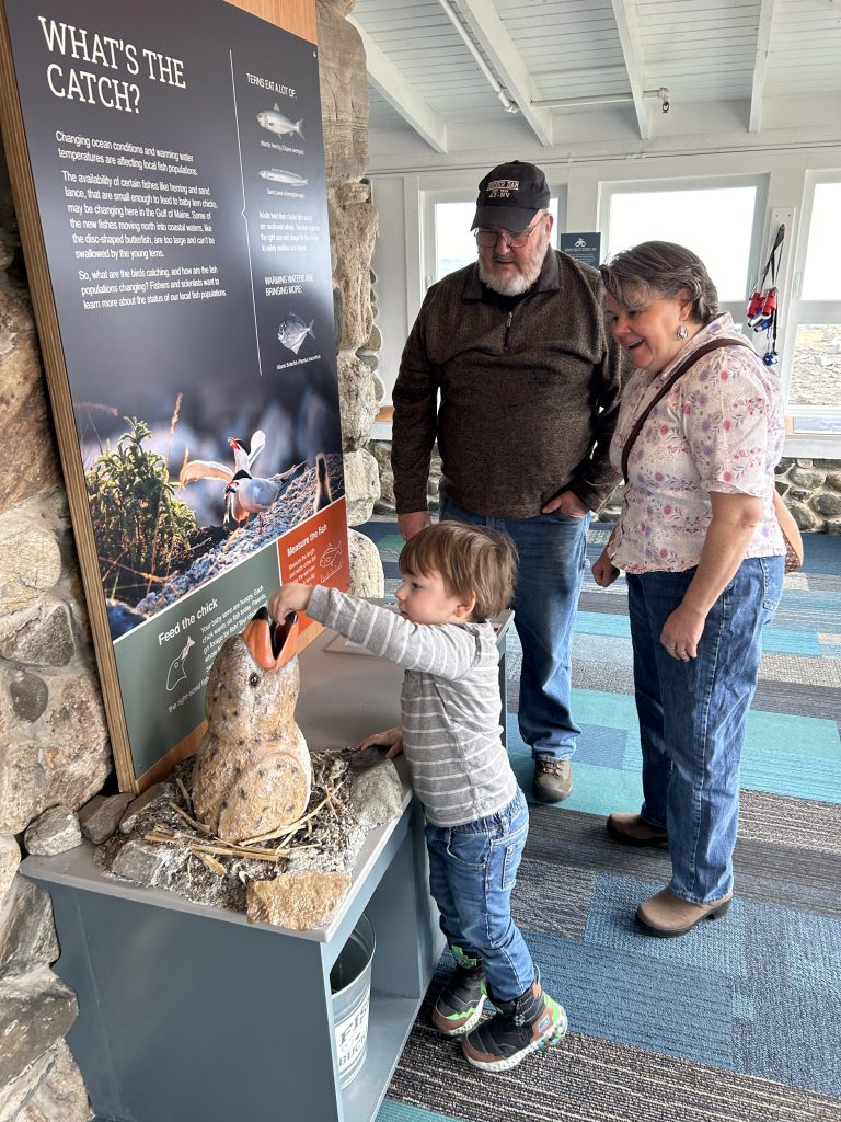Family at What's the Catch activity station in the Science of Seabirds exhibit.