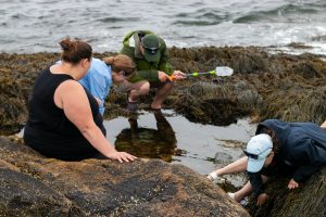 Tide Pooling on Star Island