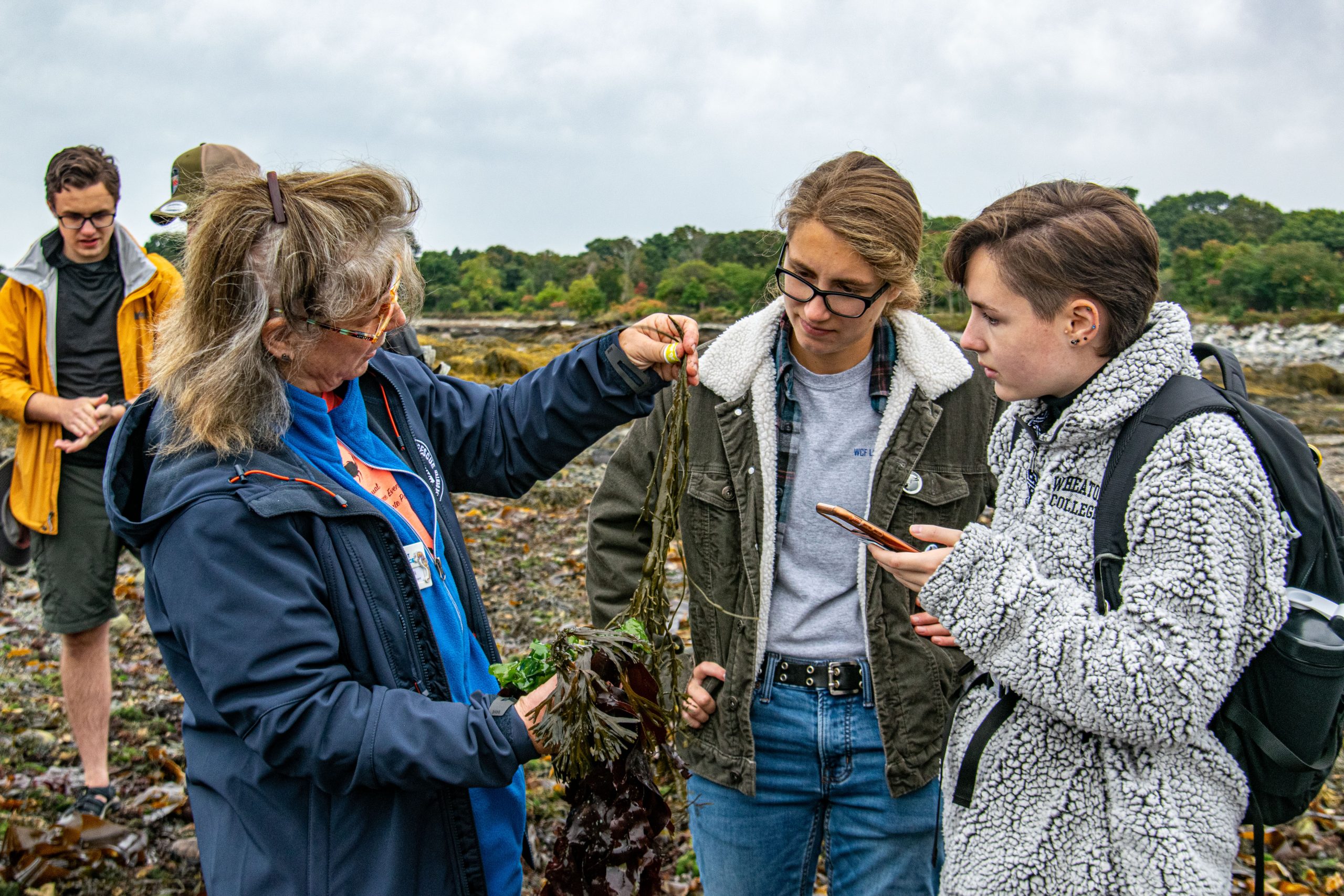 Program participants inspecting a piece of sugar kelp.