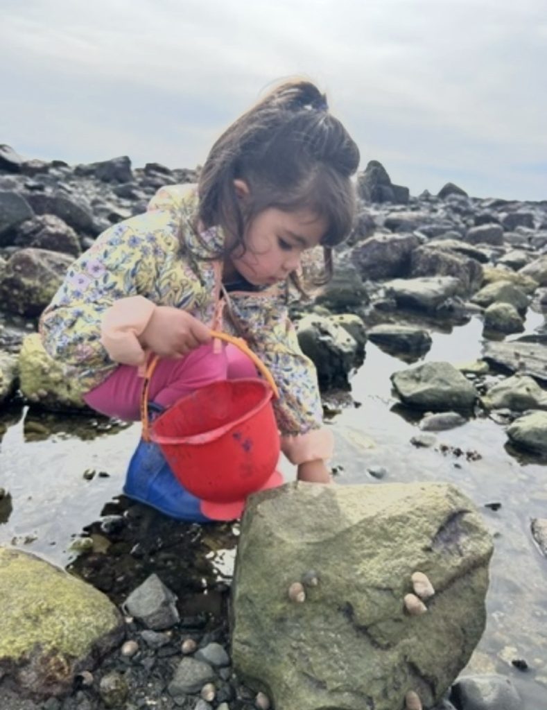 Ada Murdough explores a tidepool