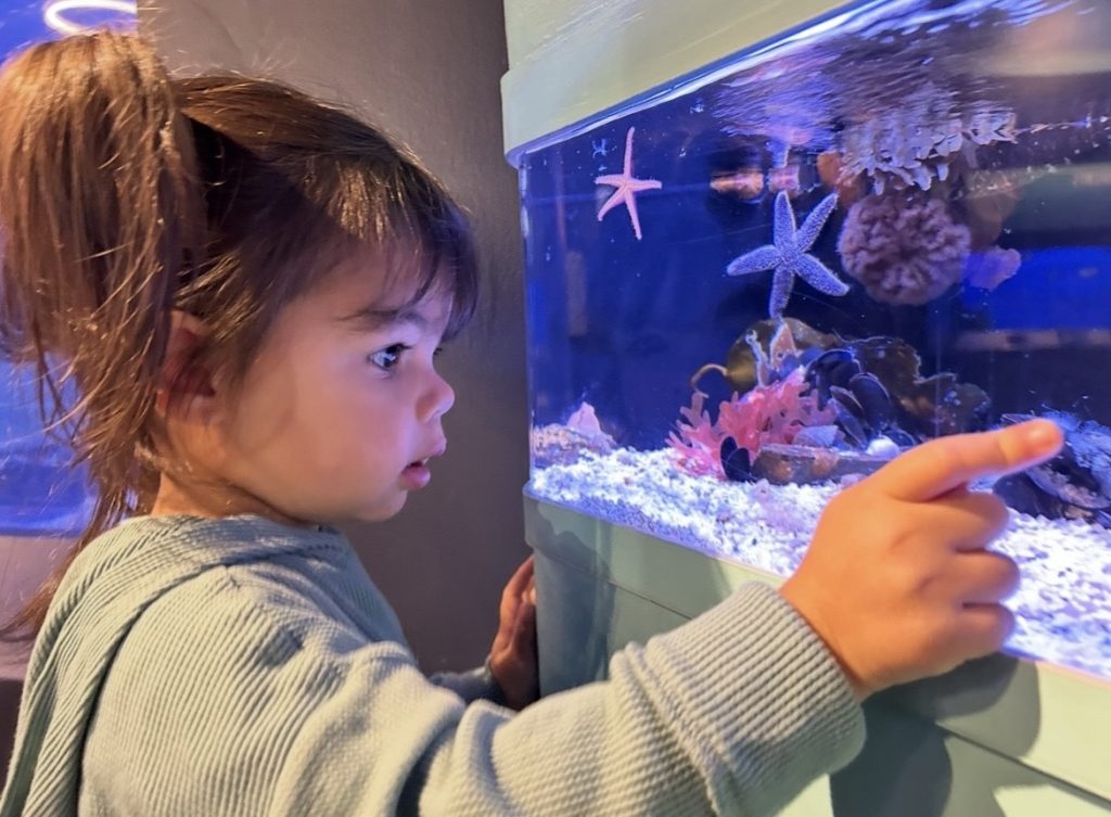 Ada Murdough observing fish in a tank
