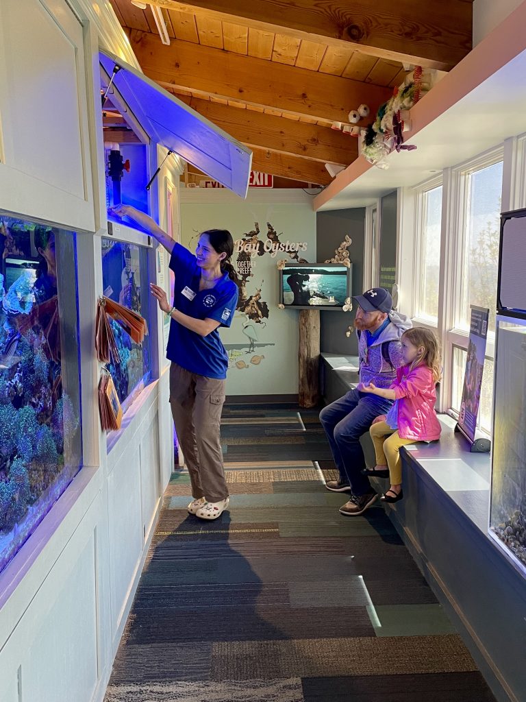 Katherine Polatchek Feeding Fish