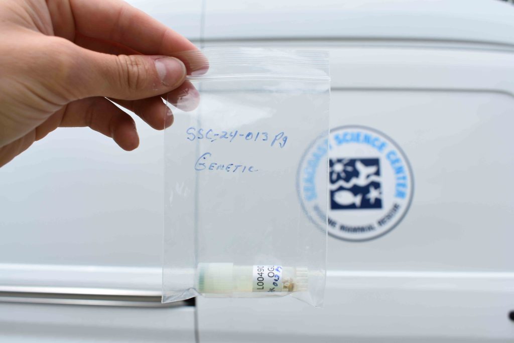 Harbor seal sample OGL partnership