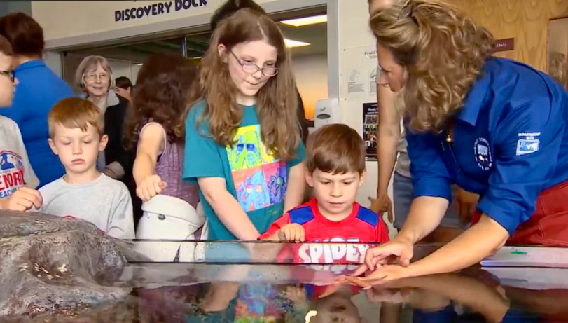kate leavitt at touch tank
