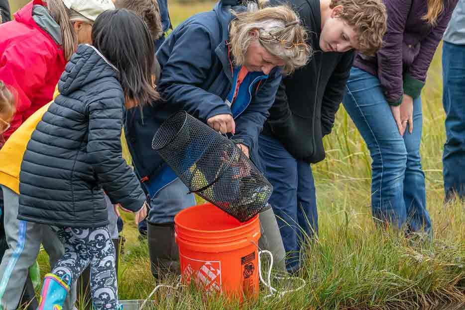 bioblitz salt marsh