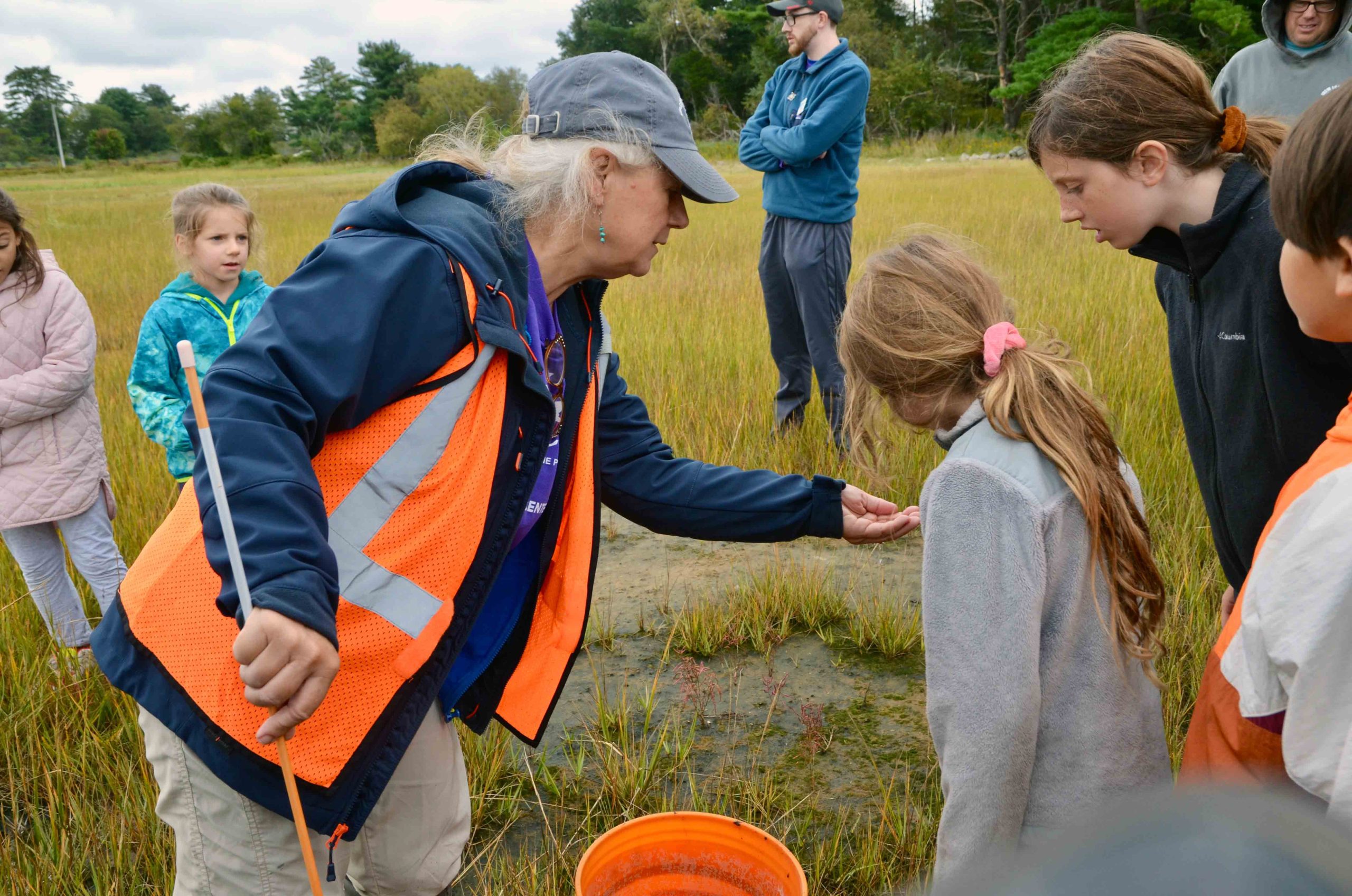 bioblitz salt marsh