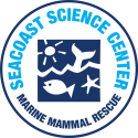 SSC MMR LOGO 2023 sm